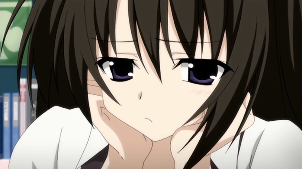 Seitokai_no_Ichizon_28.thumb.jpg.3198dbe